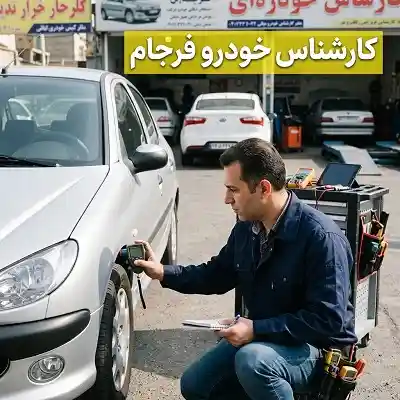 کارشناس سیار در فرجام